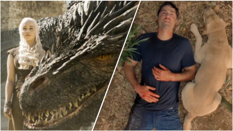 Daenerys Targaryen and the dragon Drogon from Game of Thrones compared to Jack Shephard and the dog Vincent from Lost.